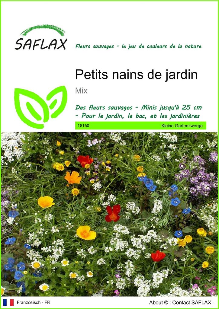 SAFLAX  - Petits nains de jardin - 1000 graines - Mix Image du produit 