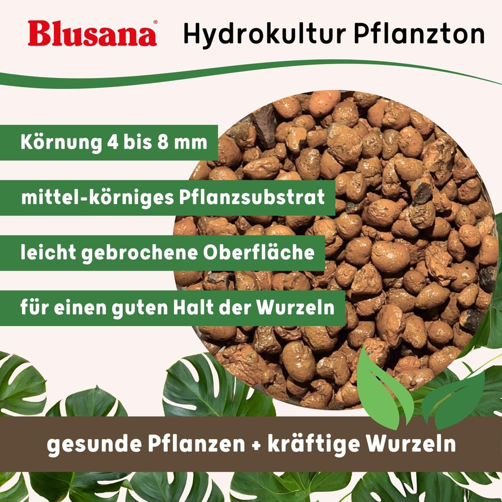 LENI Hydrokultur Komplett-Set mit Blumentopf Kulturtopf Produktbild  KI-generiertes Bild