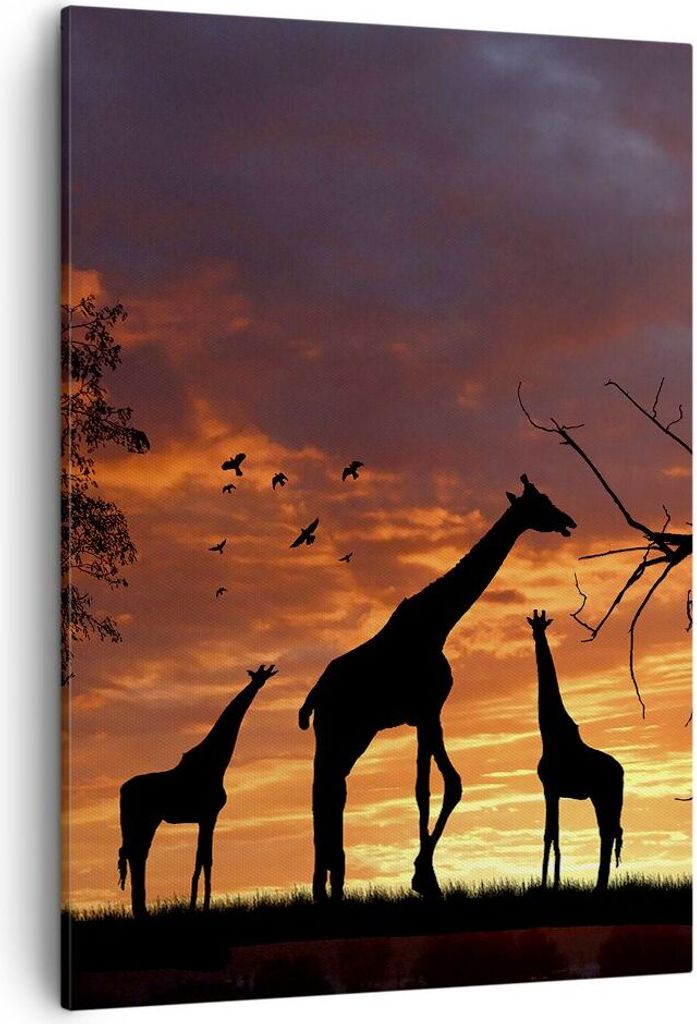 Bild auf Leinwand - Leinwandbild - Einteilig - Giraffe Afrika Sonne Safari - 50x70cm - Wand Bild - Wanddeko - Wandbilder - Leinwanddruck - Wanddeko...