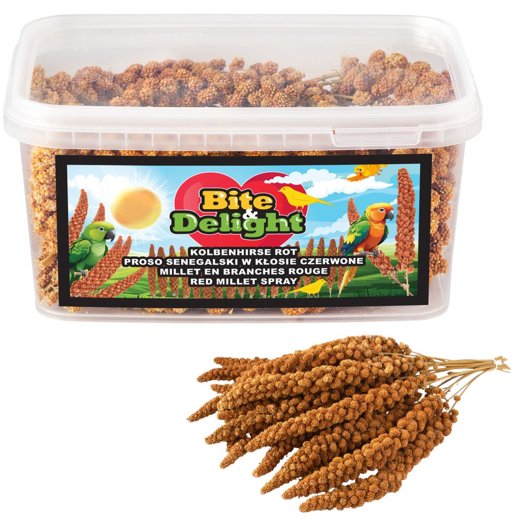 Angie Ornaentale Per Canarini Panto - Foto 11