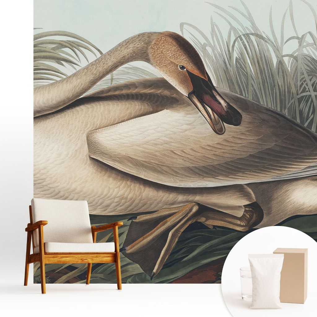 Fototapete - 250x250 cm - Tapete - Wandtapete - Wandbilder - Dekofolie - Tapete Folie - Wand - Dekoration - Wohnzimmer - Natürlicher Vogel