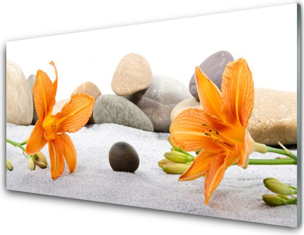 Acrylglasbilder 100x50 Wandbild Druck Blumen Steine Pflanzen