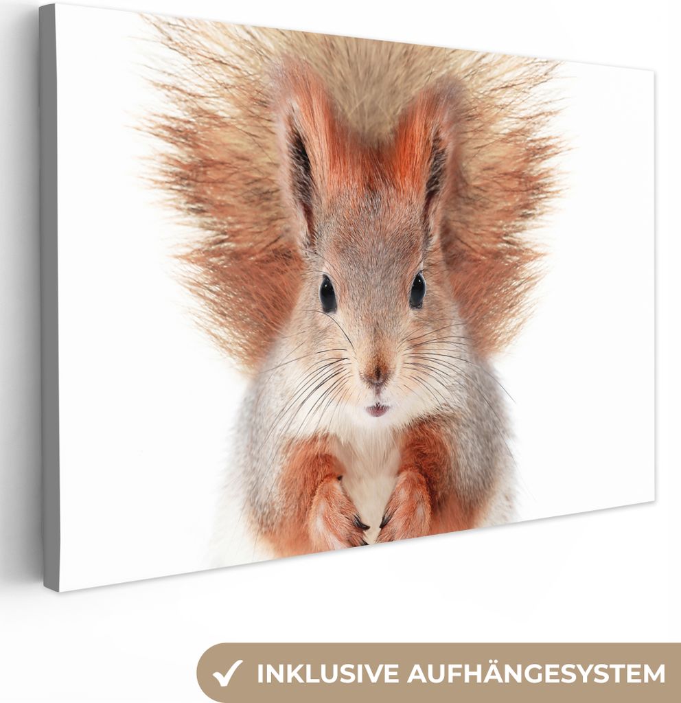 OneMillionCanvasses - Leinwandbilder - 150x100 cm, Eichhörnchen - Tiere - Natur - Orange - Weiß, Wandbilder Kunstdruck Wanddekoration - Foto au...