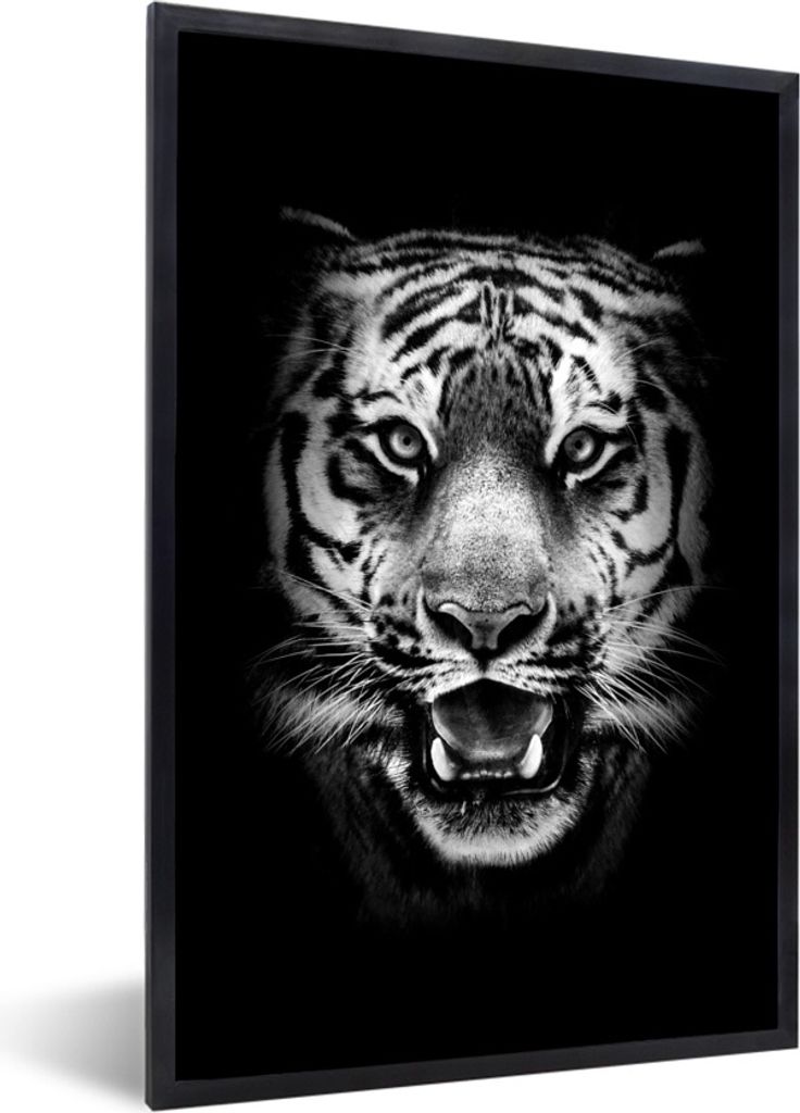 MuchoWow Gerahmtes Poster Tigerkopf vor schwarzem Hintergrund - schwarz und weiß 40x60 cm - Poster mit Schwarzem Bilderrahmen Wandposter Rahmen ...