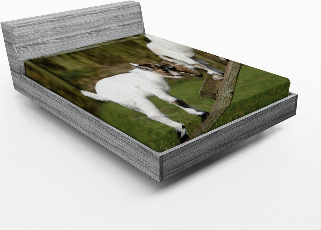 ABAKUHAUS Tier Spannbetttuch, Zwei niedliche kleine Baby-Ziegen auf einer Bank mit ihrem Horn-Bild-Bild-Design, 180 x 200 cm, Weiß und Grün