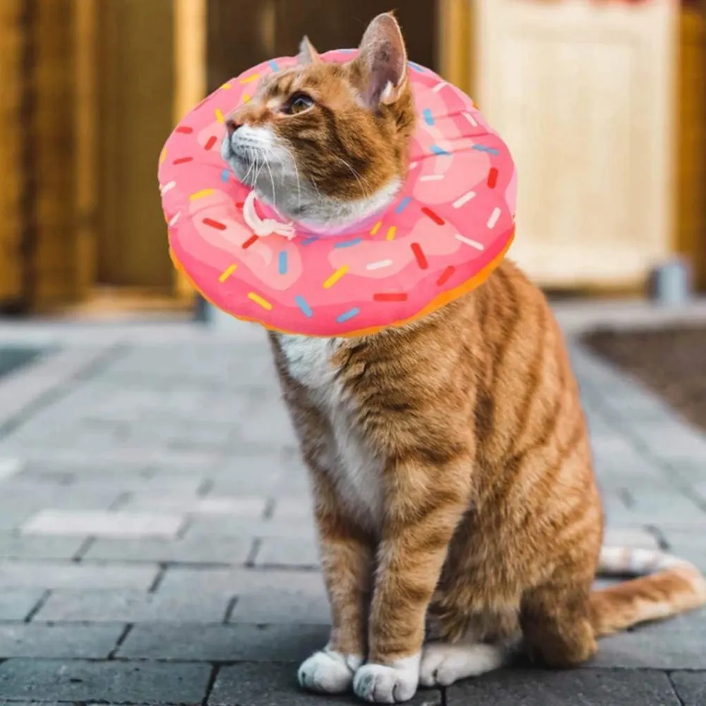 Collerette Chat Rose Xinzistar M Donut - Collier Cervical Souple - 6