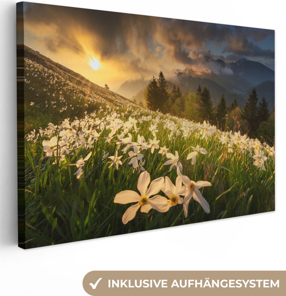 OneMillionCanvasses - Leinwandbilder - 140x90 cm, Blumenfeld - Hügel - Sonnenuntergang - Berg - Natur - Weiß - Hügel, Wandbilder Kunstdruck Wa...