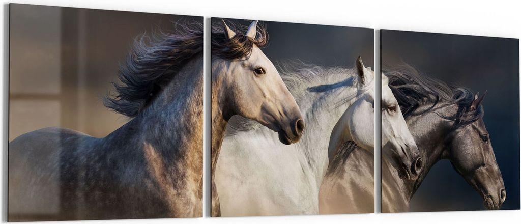DEQORI Glasbild Echtglas 3x50x50 cm 'Pferde-Trio im Galopp' Wandbilder XXL groß