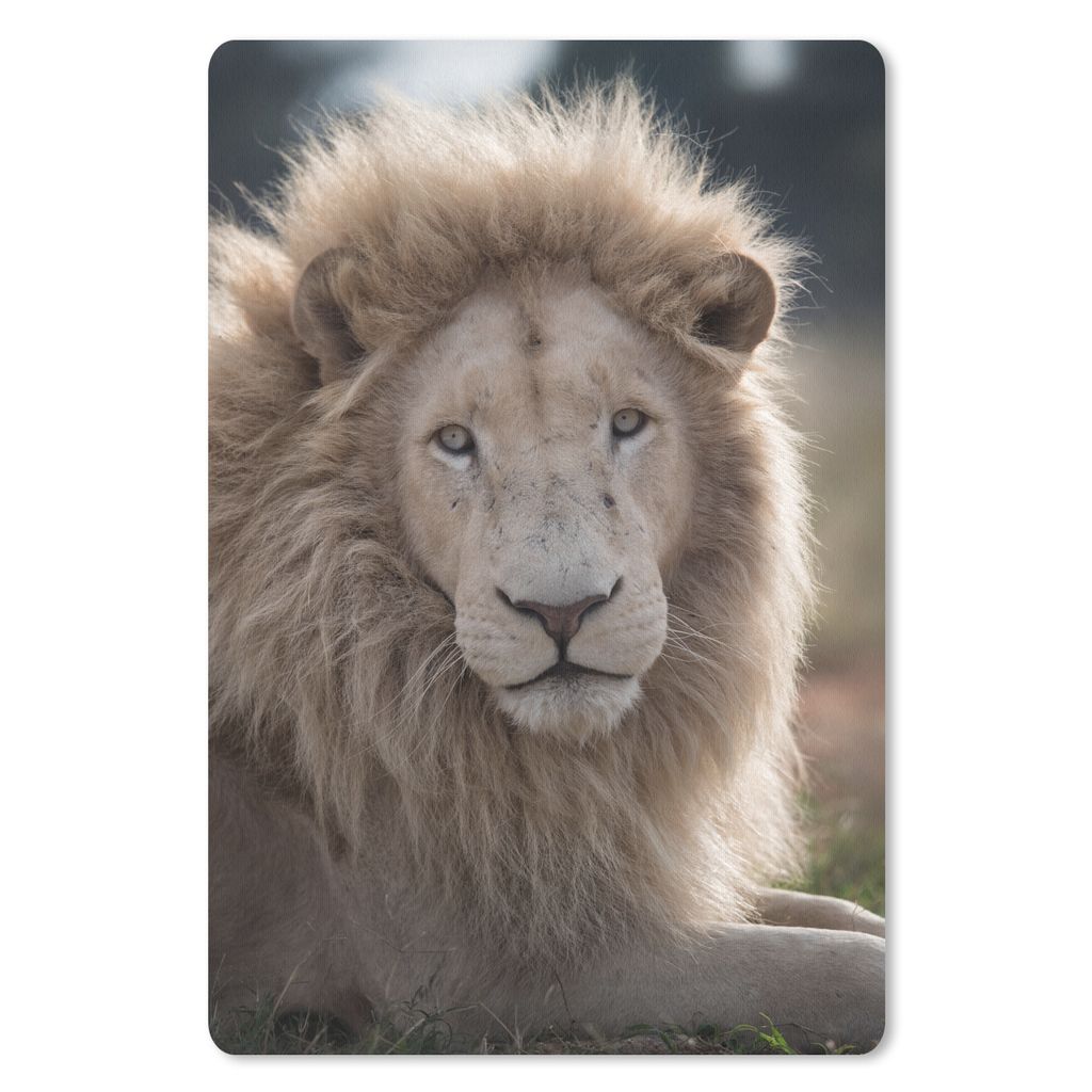 MuchoWow Mauspad Mousepad Löwe - Tier - Weiß 40x60 cm - Mousepads - Maus Mat - Pad - Mausunterlage - Schreibtisch Accesoire
