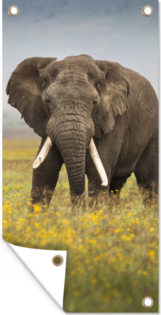 MuchoWow 80x160 cm Outdoor-Poster Gartendeko Sichtschutz Garten Poster für den Garten Weidender Elefant in einem Blumenfeld