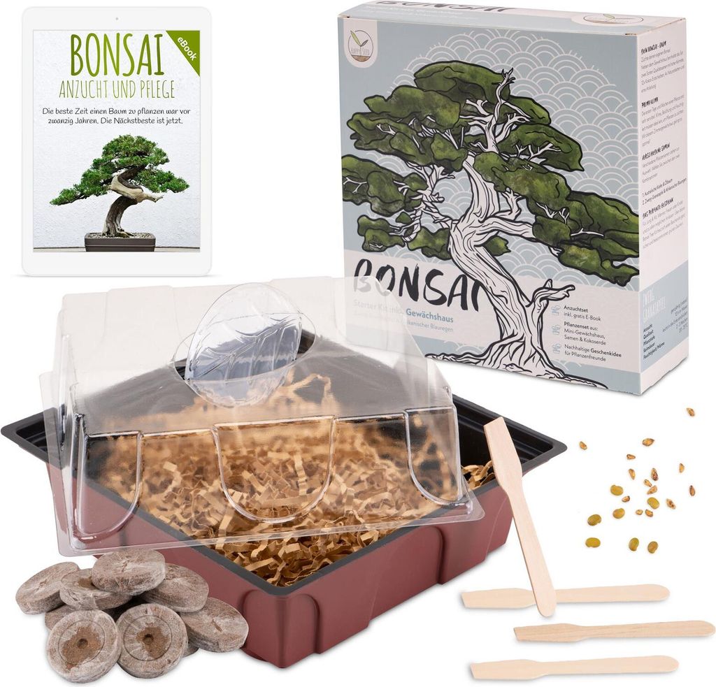 Bonsai Starter Kit inkl. GRATIS eBook & Gewächshaus (Afrikanischer Blauregen + Zwerg-Granatapfel)