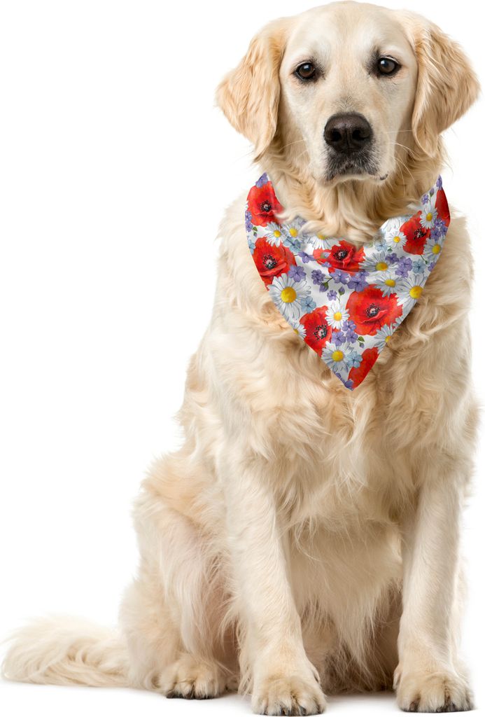 ABAKUHAUS Bunt Haustier Bandana, Poppy und Daisy Blume, 40x40 cm, Lavendel Scarlet