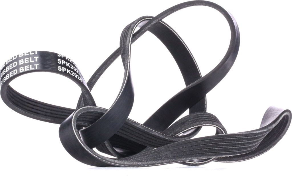 RIDEX Keilrippenriemen 2020mm für BMW X5 (E53) 305P0455 Produktbild 