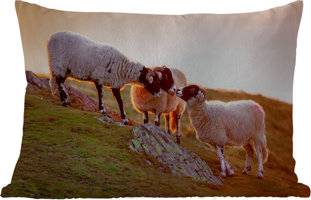 MuchoWow Outdoor Kissen - Schafe - Tiere - Sonnenuntergang - 60x40 cm - Wetterfest - Lounge Kissen - Zierkissen - Kissen für Innenräume