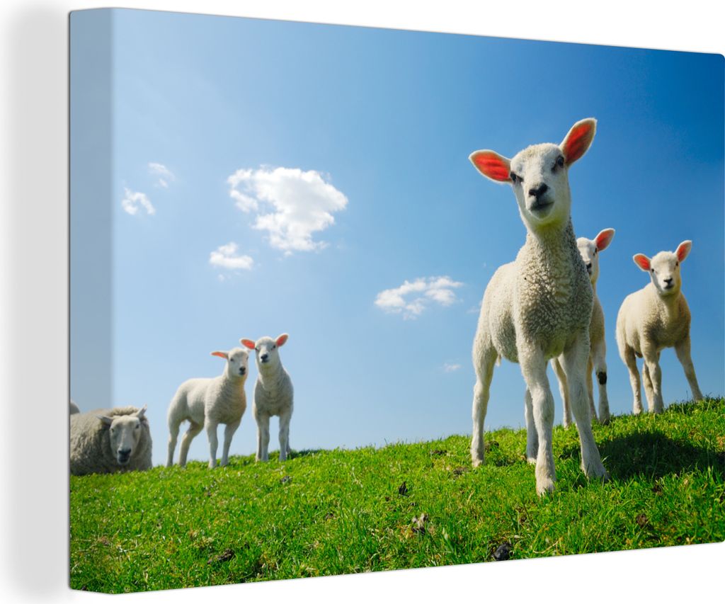 OneMillionCanvasses - Leinwandbilder - 150x100 cm, Schafe - Frühling - Landschaft, Wandbilder Kunstdruck Wanddekoration