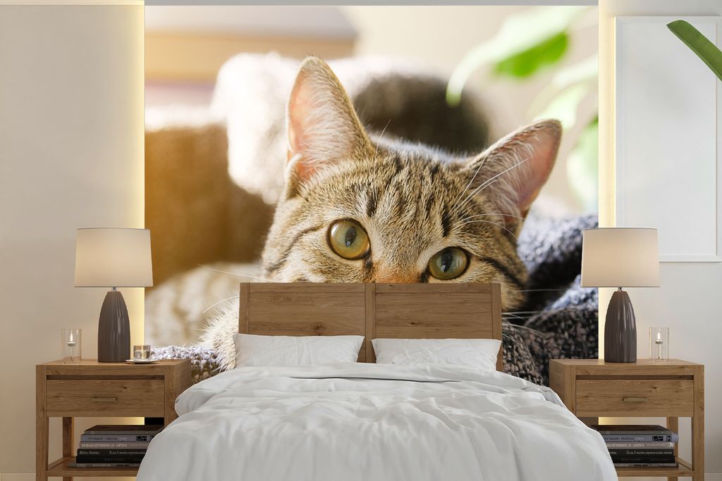 MuchoWow Fototapete für Wohnzimmer oder Schlafzimmer Wandtapete Vinyl Motivtapete Katze - Korb - Vorleger - 280x280 cm - Hintergrundbild