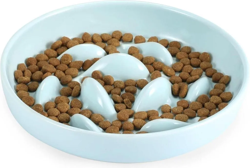 Stopper la gloutonnerie : gamelle céramique lente pour chat et petit chien