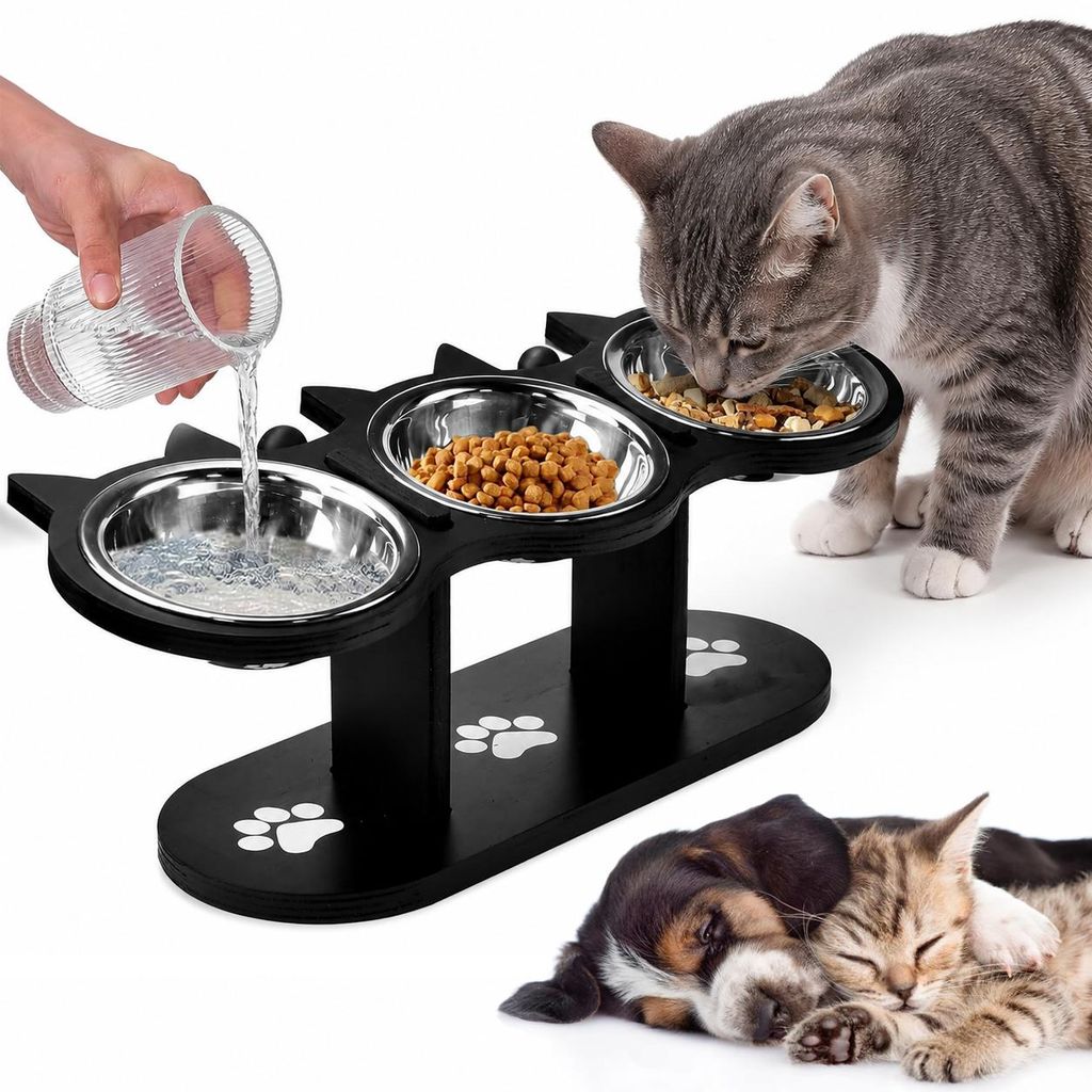 Katzennapf, Erhöhter Futternapf, Fressnapf Katze, Produktbild 