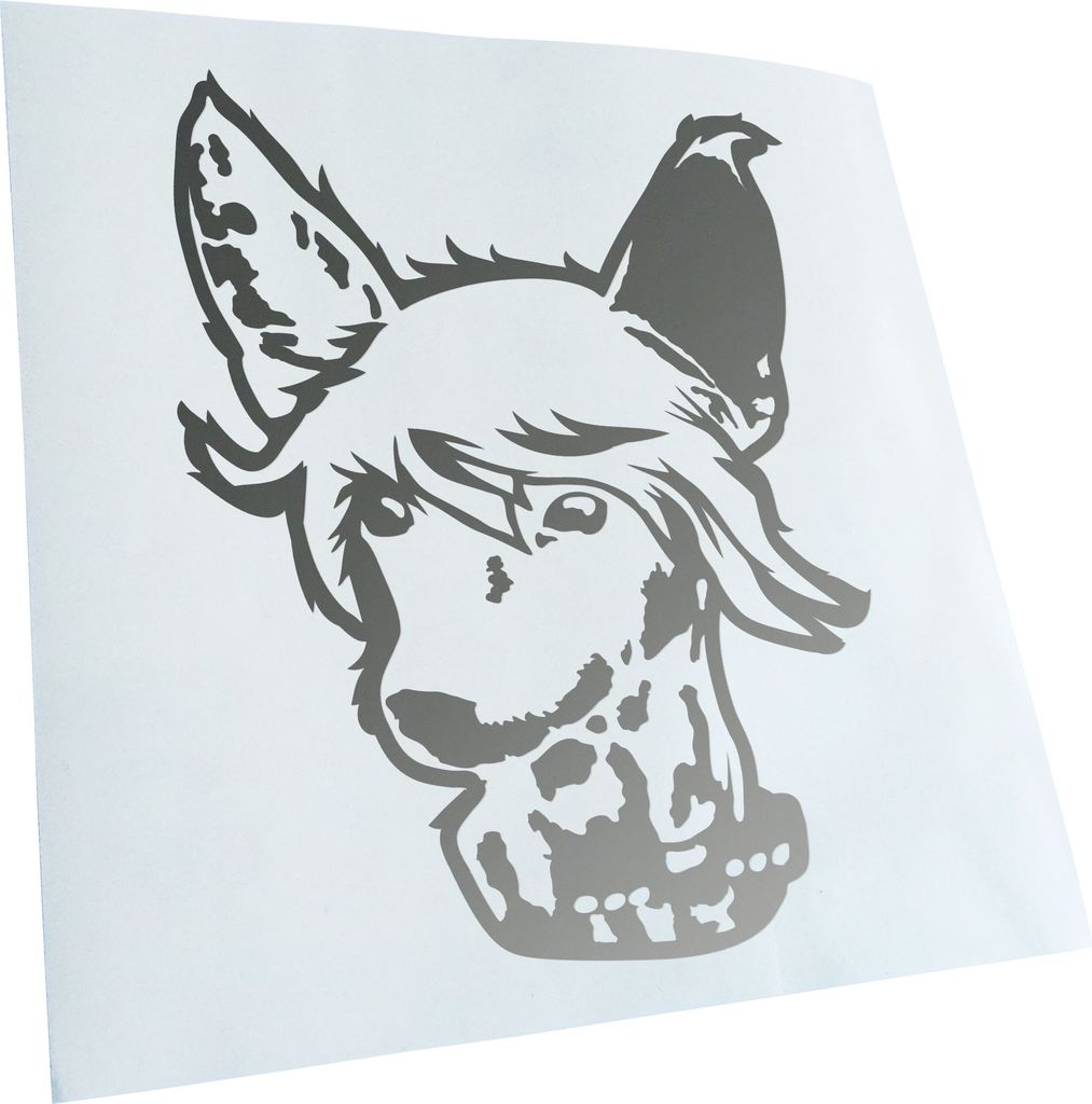 Kiwistar - Autoaufkleber - Chinese Crested Hund - Silber - 40x31cm - Aufkleber für Auto, Laptop, Fahrrad, LKW, Motorrad mehrfarbig JDM Decal Racing