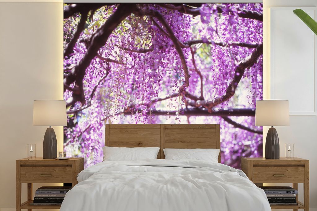 MuchoWow Fototapete für Wohnzimmer oder Schlafzimmer Wandtapete Vinyl Motivtapete Unter einer Glyzinie - 280x280 cm - Hintergrundbild