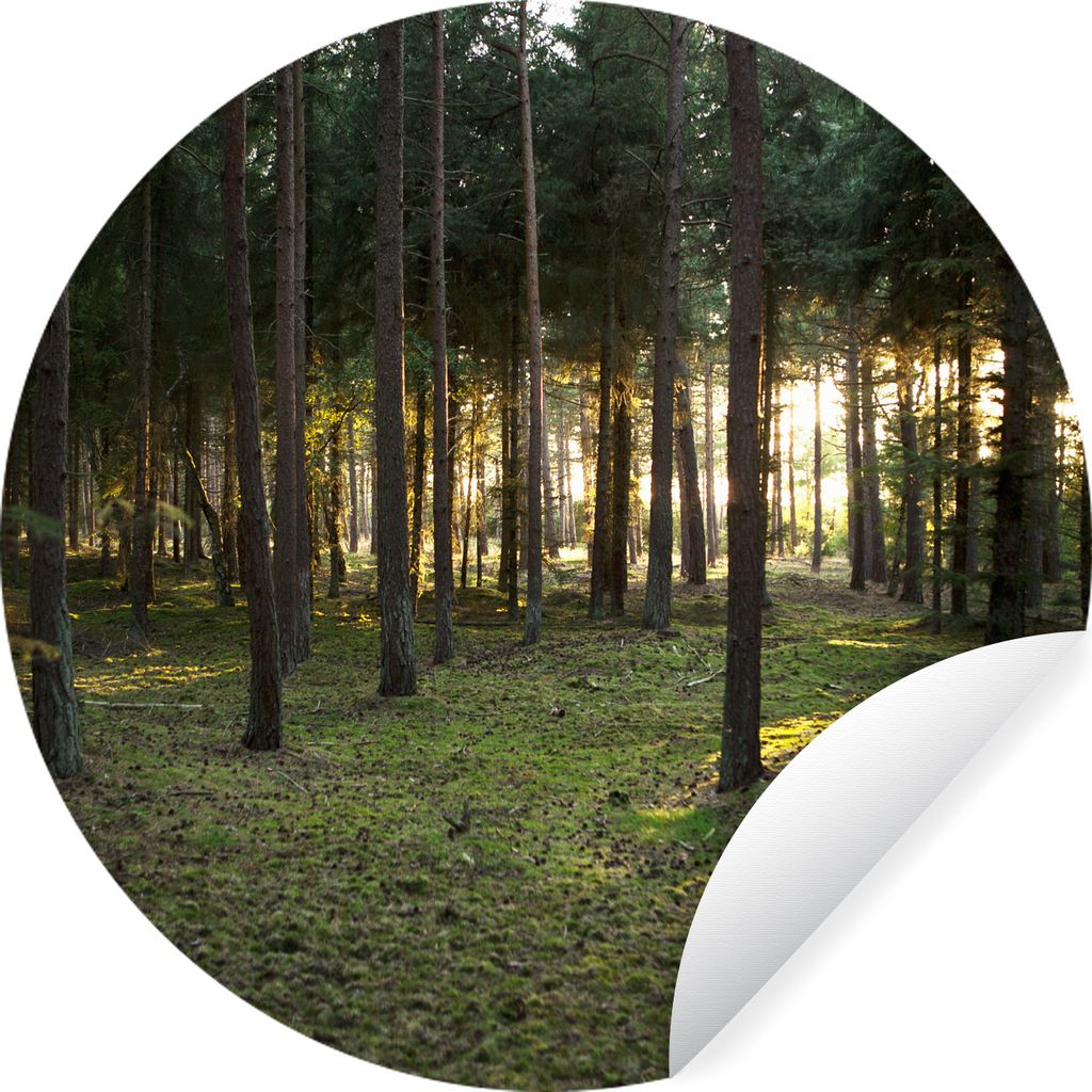MuchoWow Runde Wandtattoo - Wandsticker Tapete Aufkleber Baum - Sonne - Gras Ø 30 cm Selbstklebend und Repositionierbar - Wandaufkleber - Kreis ...
