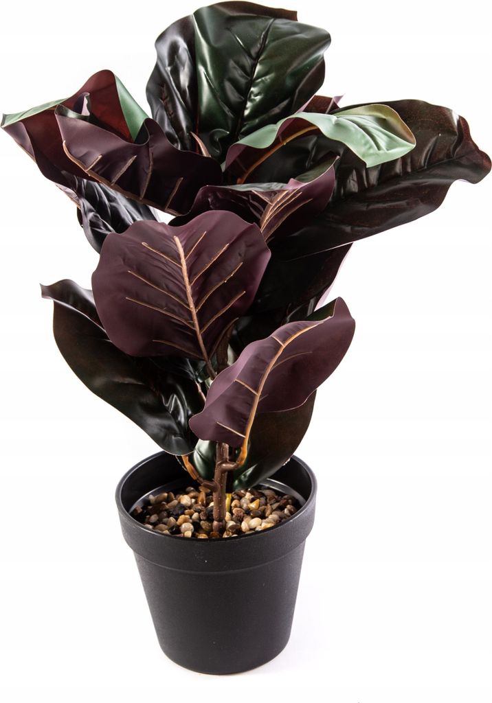 Kunstpflanze Schwarz 45cm - Moderne Deko im Topf - Realistische Optik für Haus & Garten