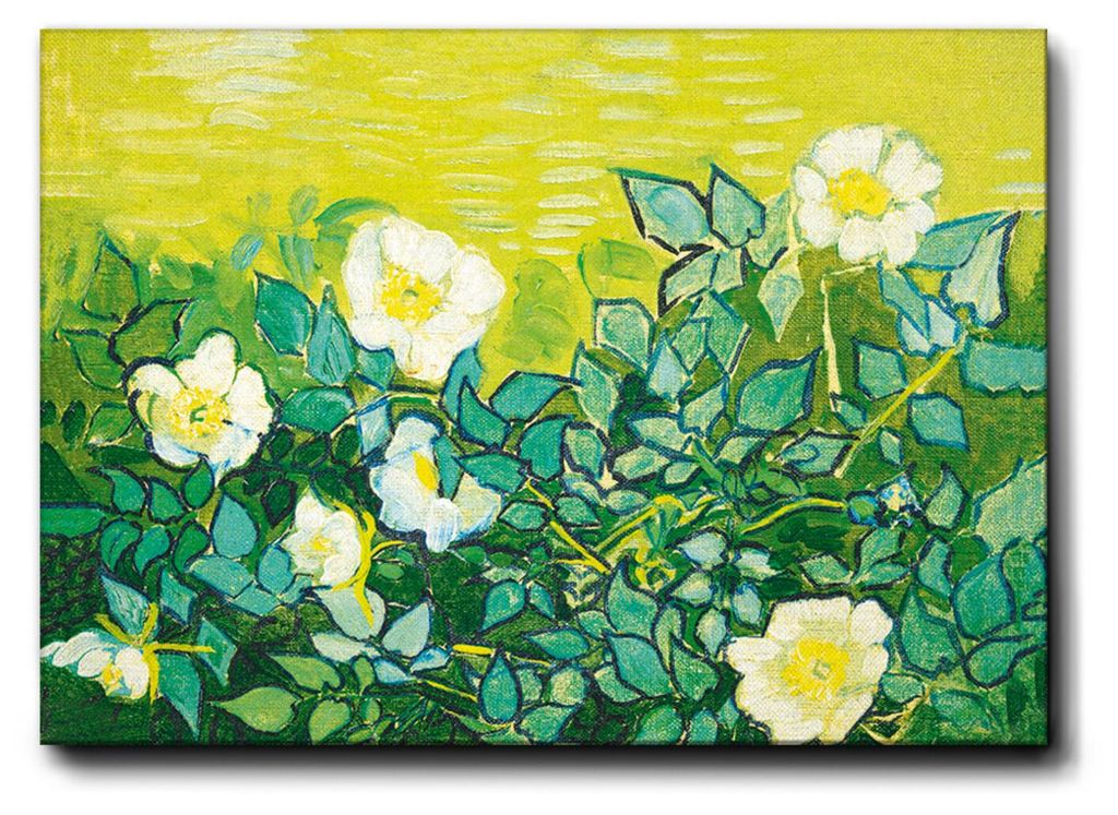 Giallobus - Wilde Rosen - Vincent Van Gogh - 70L x 50B cm - Bild - Premium Loom Canvas mit hoher Dicke