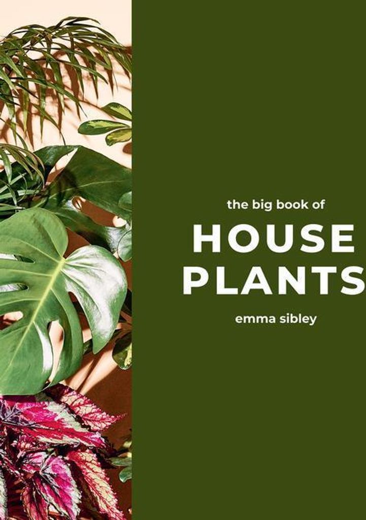 Big Book Of House Plants – Lingua: Inglese