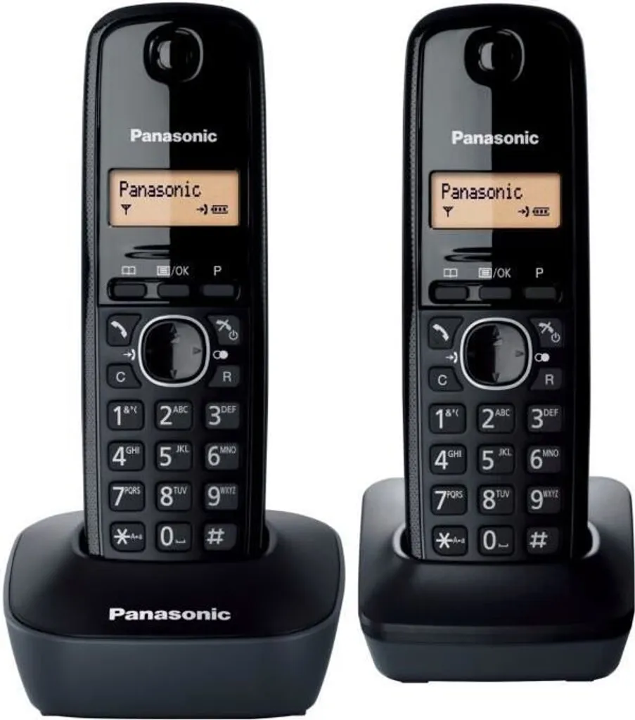 Téléphone Fixe Sans Fil Duo Panasonic KX-TG1612FRH Pack de 2 Postes