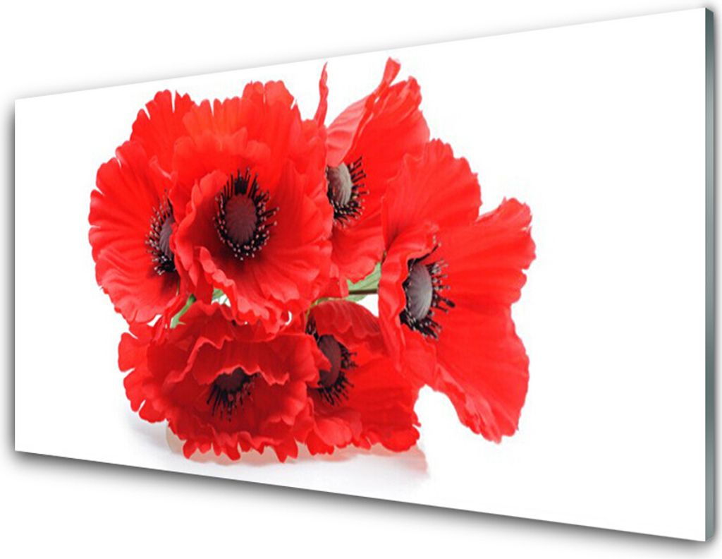 Acrylglasbilder 100x50 Wandbild Druck Blumen Pflanzen