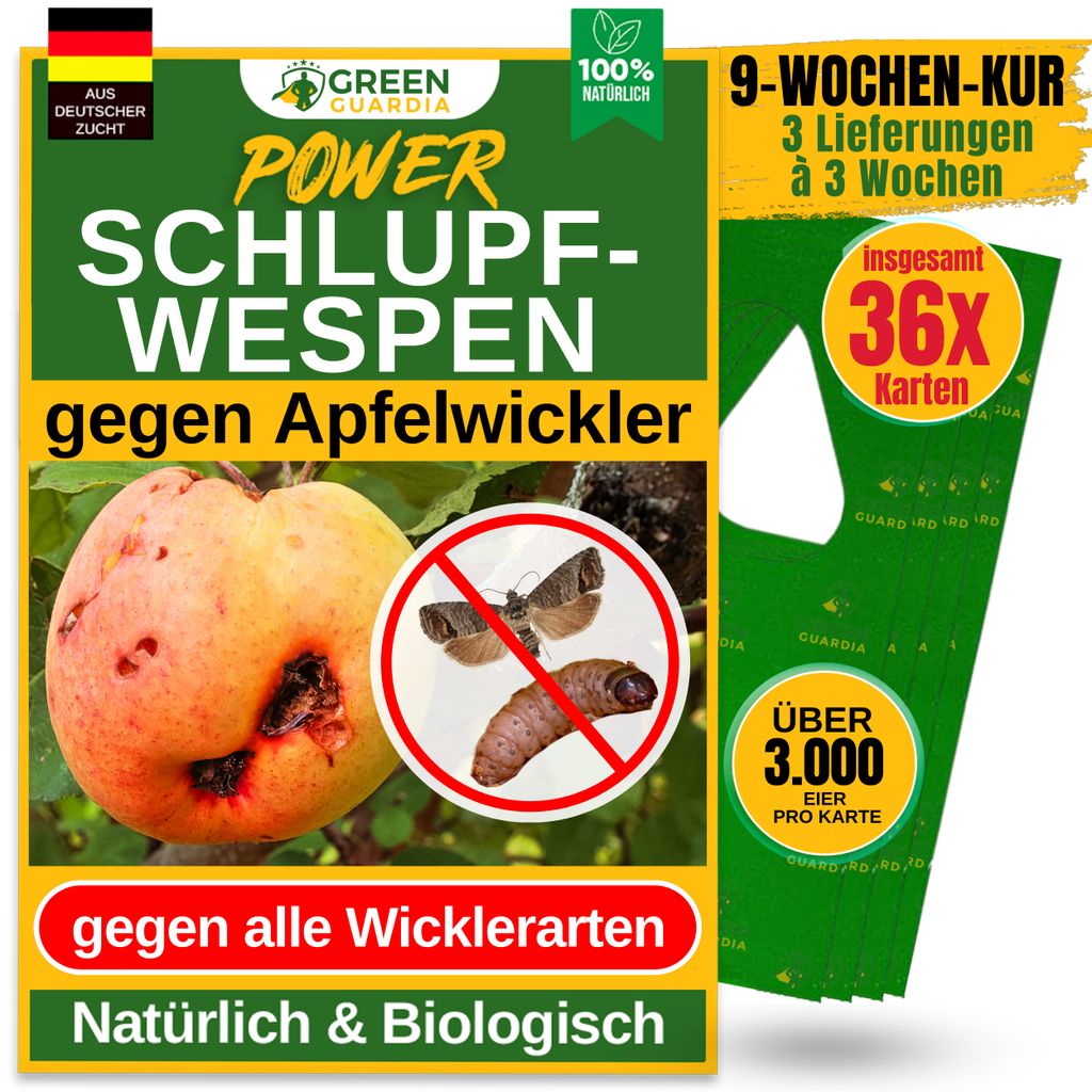 Green Guardia Schlupfwespen gegen Apfelwickler -12x Karten 3x Lieferung- Biologisches Mittel gegen Apfelwickler, Chemiefrei Apfelwickler bekämpfen