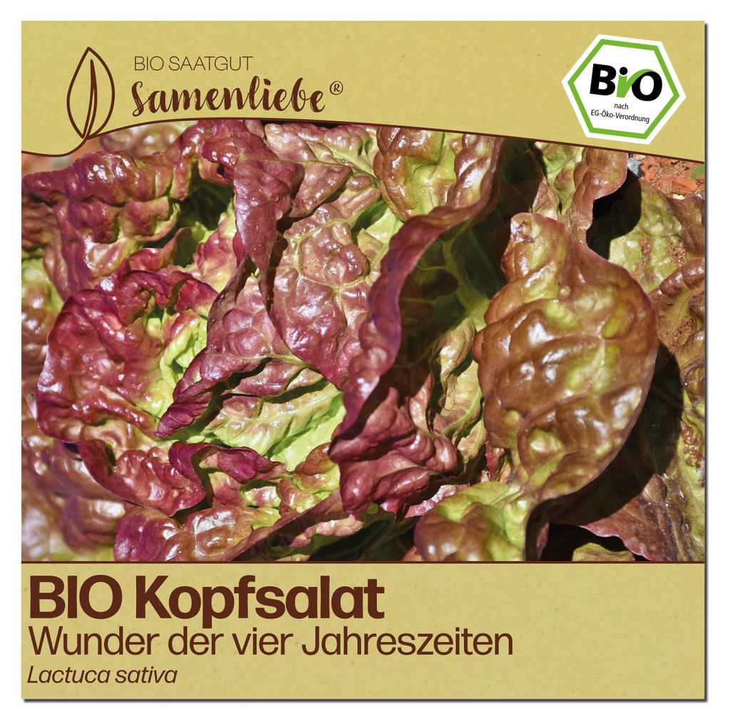 Samenliebe  Salat Samen | Wunder der vier Jahreszeiten - Produktbild 