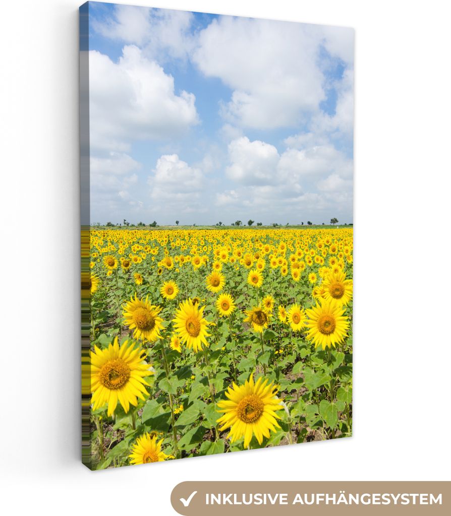 MuchoWow - Leinwandbilder - Sonnenblumen - Blumen - Wolken - Natur - Gelb - Landschaft, Wandbild, Wanddeko Bilder Wohnzimmer, 40x60 cm