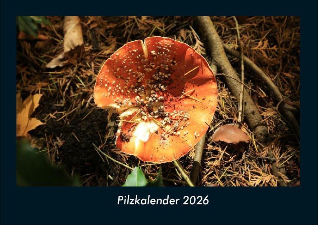 Pilzkalender 2026 Fotokalender - Querformat DIN A4, Monatskalender mit Bild-Motiven aus Fauna und Flora, Natur, Blumen und Pflanzen