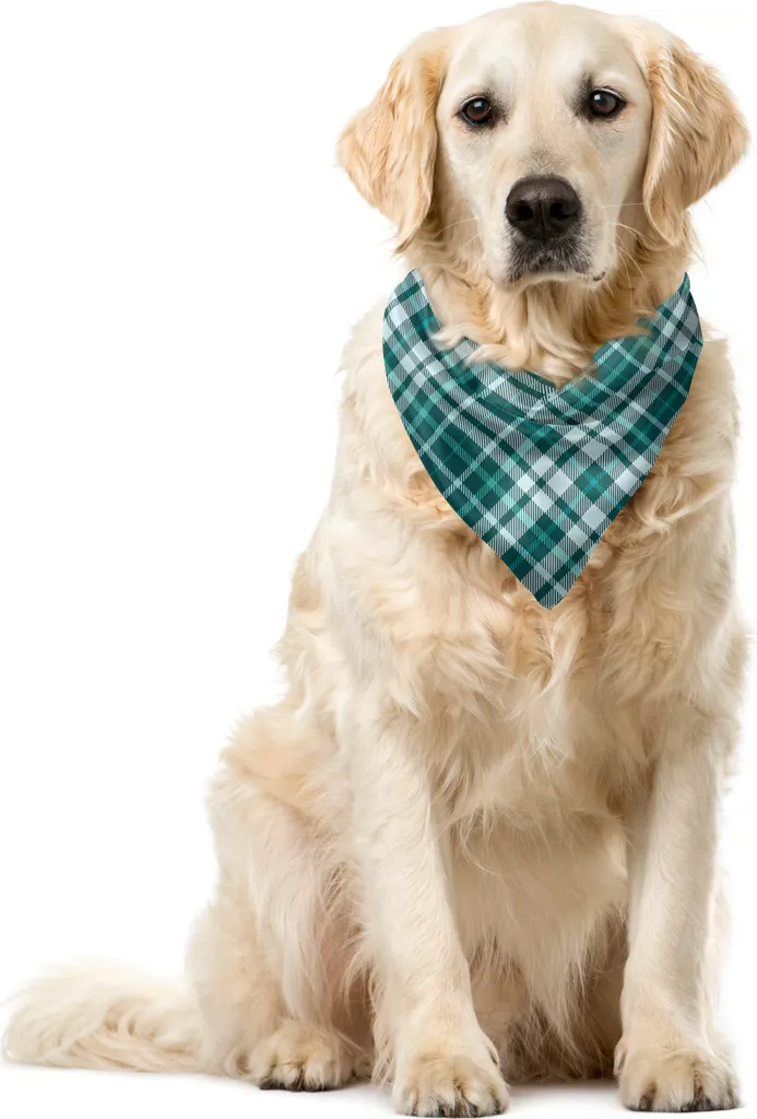 Bandana Cane ABAKUHAUS Blu Cadetto: Accessorio Foto Perfect 40x40