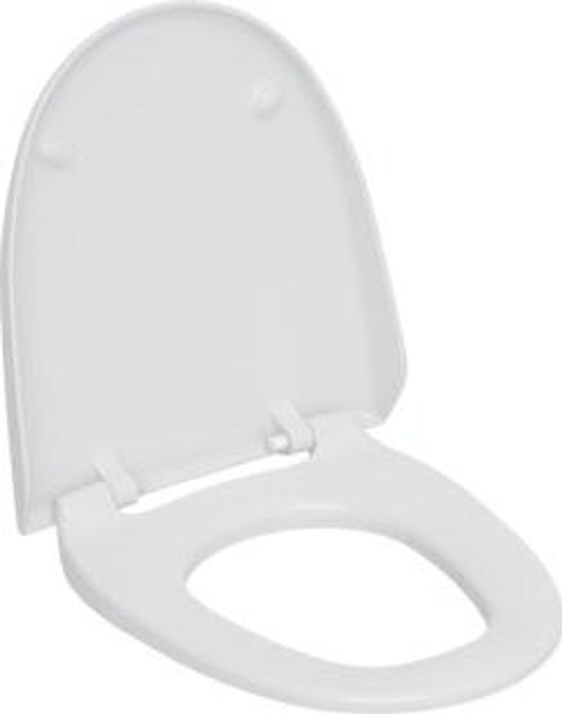 Geberit 250034CG1 WC-Sitz und WC-Deckel manhattan