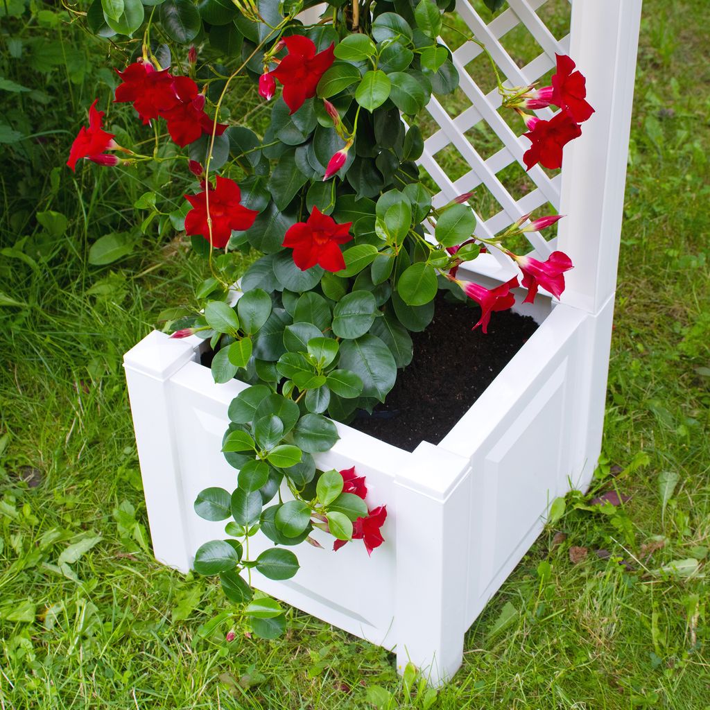 Pflanzkasten NYVIGreen 43x43x140 cm 44 Liter mit Spalier - Pflanzkübel aus wetterfestem & recyceltem Kunststoff, Farbe:Weiß