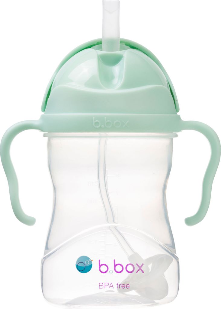 B.BOX Gelato Pistazie Flasche mit Strohhalm 240 ml 1 Stück Produktbild 