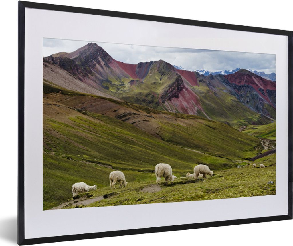 MuchoWow MuchoWow Gerahmtes Poster Alpaka - Hügel - Gras 60x40 cm - Poster mit zchwarzem Bilderrahmen - Schlafzimmer - Plakat in Rahmen - Drucken