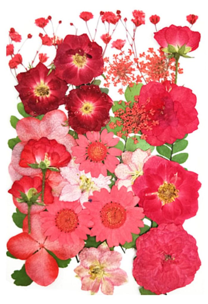 1 Set Trockenblumen-Press-Set Bunte Naturblumen DIY Kunsthandwerk Zubehör Harz Schmuck Epoxidform Kerzen Seife Vasenherstellung Nagelkarten Scrapb...