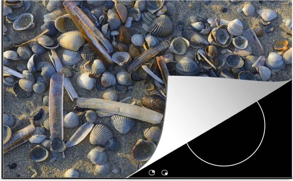 KitchenYeah Herdabdeckplatte Muscheln am Strand Vlieland , 76x51cm, Küche Deko, Glaskeramikfeld Herdabdeckung, Abdeckplatte fùr Kochfeld
