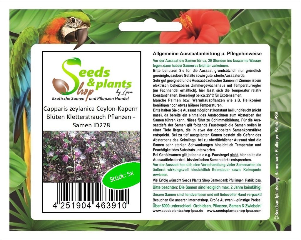 5x Capparis zeylanica Ceylon-Kapern Blüten Kletterstrauch Pflanzen - Samen ID278