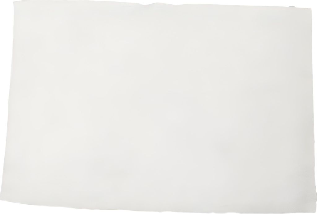 Dämmwolle Matte Tecnigas Auspuffdämmwolle 297x207x8mm 450°