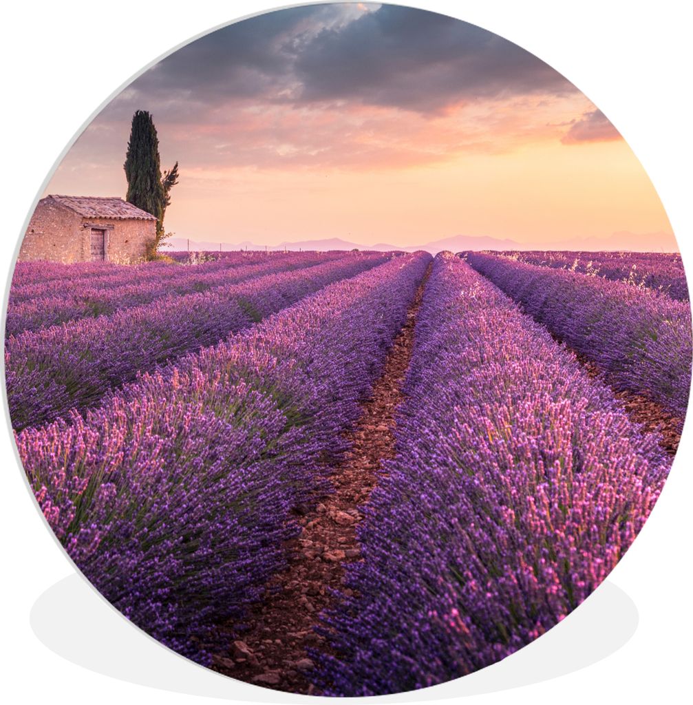 MuchoWow Rundes Wandbild - Runde Bilder Lavendel - Blumen - Lila - Feld Ø 60 cm Kreis Wanddekoration Kunststoff - Wandkreis - Wandschmuck - Wand...