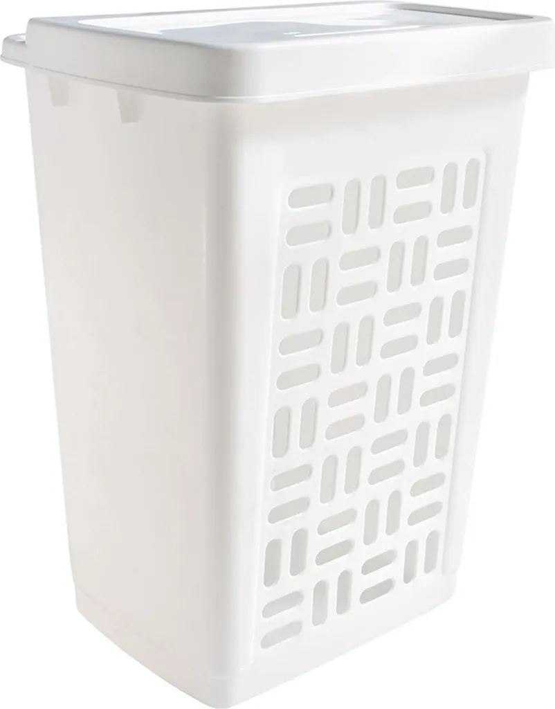 Sunware Basic boîte de lavage 60L avec couvercle blanc pour buanderie