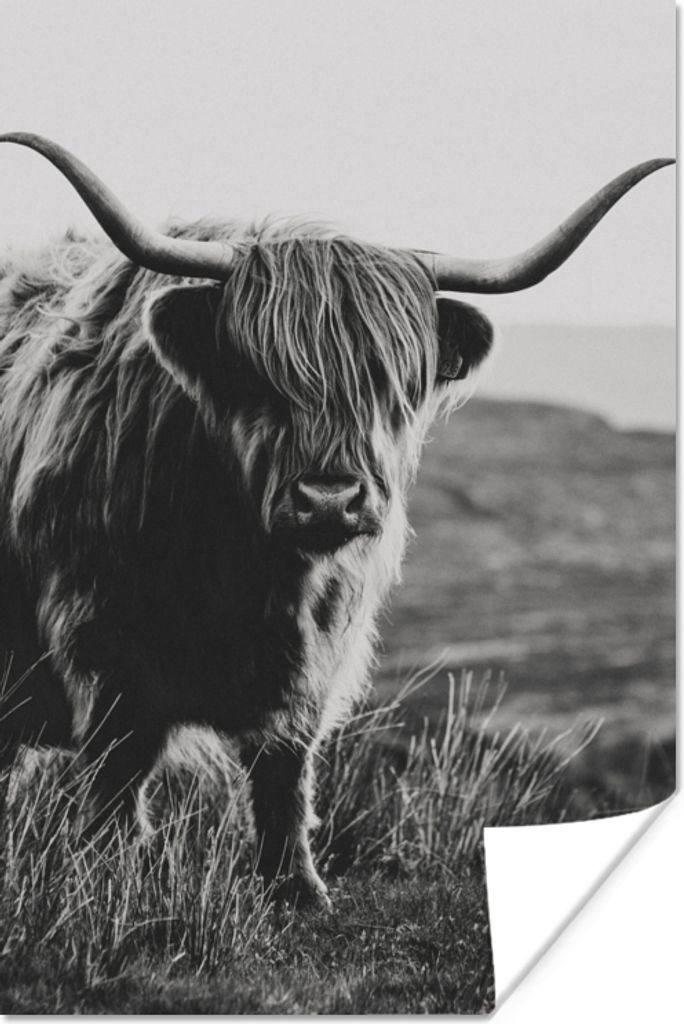 MuchoWow Poster Schottischer Hochlandbewohner - Natur - Kühe - Tiere - Schwarz und weiß 40x60 cm - Plakate für die Wand - Poster Babyzimmer
