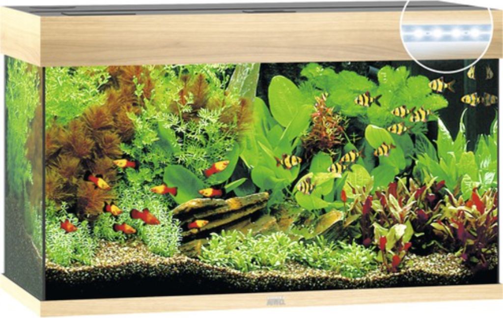 A well-lit aquarium filled with plants and fish, showcasing the product's features.