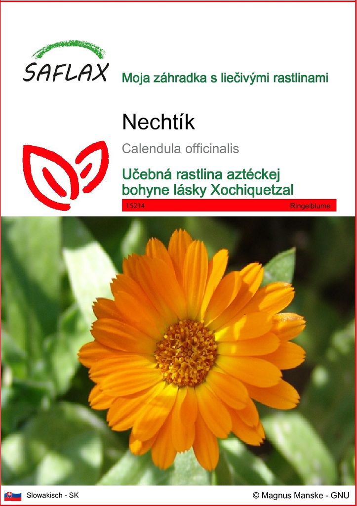 SAFLAX - nechtík - Calendula officinalis - 50 Semená Obrázok produktu 