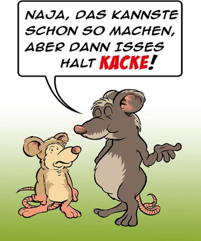 vianmo Holzschild 40x30 cm Kannste so machen ist halt Kacke