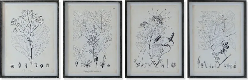 Set de 4 Décorations Murales Botaniques Modernes en Cadres de 45x60 cm
